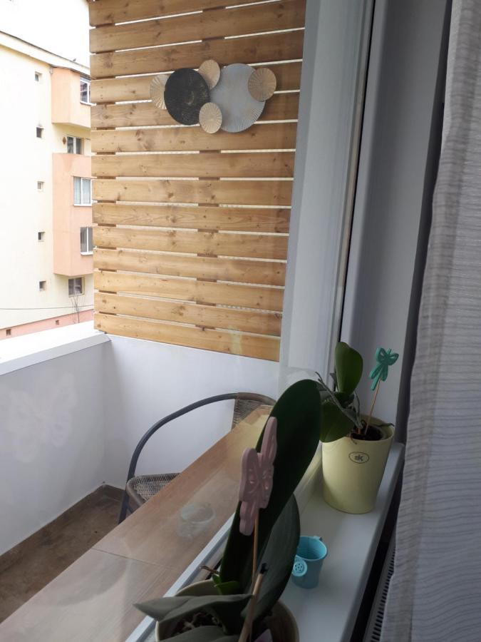 Angel Residence Сибиу Экстерьер фото
